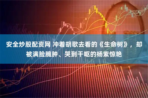 安全炒股配资网 冲着胡歌去看的《生命树》，却被满脸臃肿、哭到干呕的杨紫惊艳