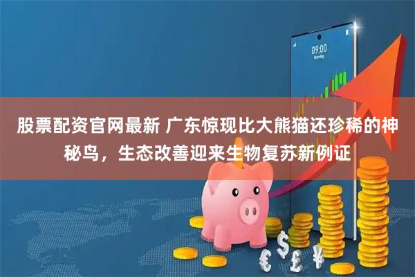 股票配资官网最新 广东惊现比大熊猫还珍稀的神秘鸟，生态改善迎来生物复苏新例证