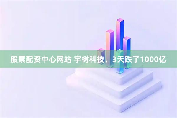 股票配资中心网站 宇树科技，3天跌了1000亿